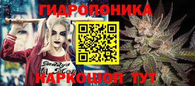 PSILOCYBIN Канаш