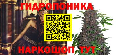 PSILOCYBIN Канаш