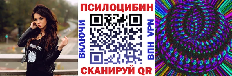 наркотики  Курганинск  Псилоцибиновые грибы Magic Shrooms 