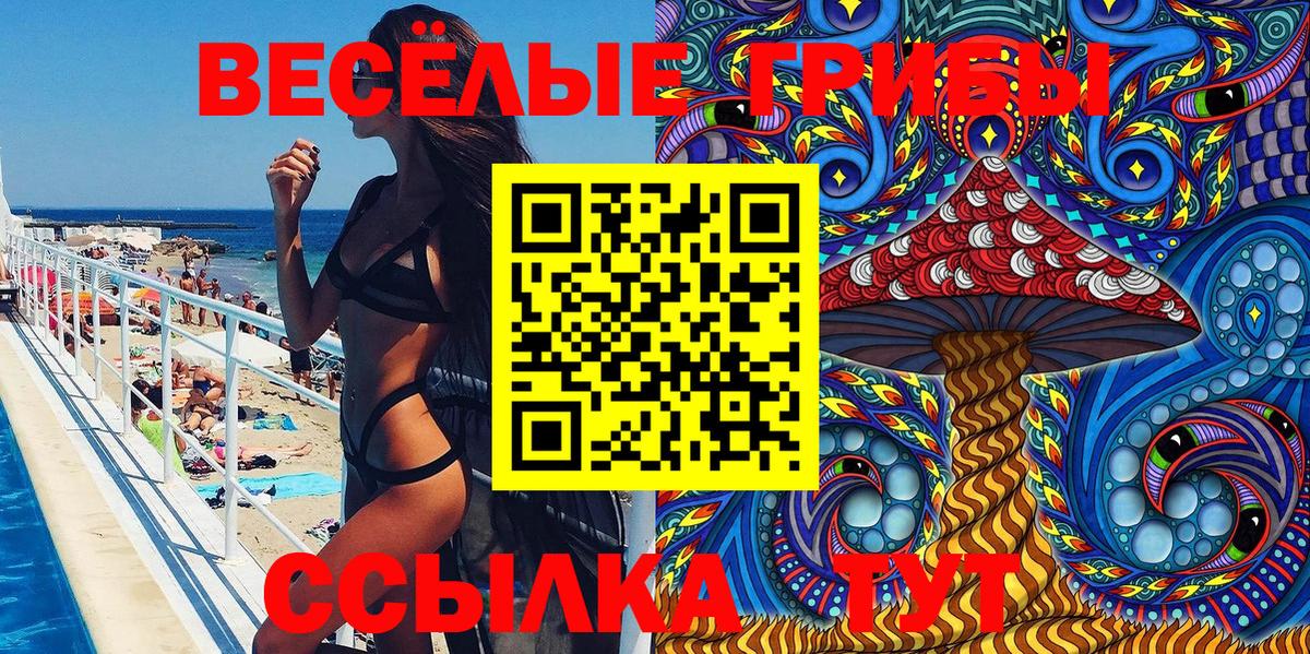 Галлюциногенные грибы мицелий Курганинск